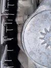 IMG_5508.jpeg