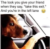 1756426986156.png