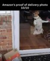 IMG_0348.jpeg