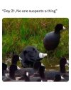548223609_2554589241571114_7075464790788753959_n.jpg