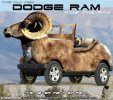 Ram it never felt so real.jpg