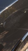 IMG_1560.jpeg