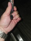 20251007_054710.jpg
