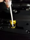 dipstick2.jpg