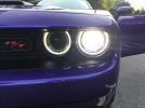 IMG_1924.jpeg