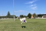 IMG_7383.jpeg