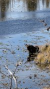 IMG_2497.jpeg