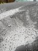 20190501_094243.jpg
