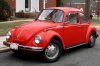 2-beetle.jpg