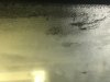 IS fog 2.jpg