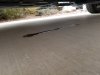 Muffler Condensation_2.jpg