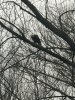IMG_1092.jpeg IMG_1092.jpeg