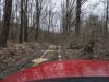 IMG_20200321_121343.jpg