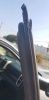 front passenger.jpg