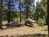 IMG_20200703_123457.jpg