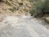 E0C50613-B863-4AD8-8CC4-FF9477E68E83.jpeg