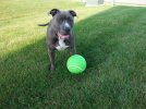 Jax and Ball.jpg