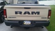 REBEL RAM PLATE.jpg