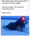 4C60A8B4-27F6-4FE0-8CE8-788EB67F9517.jpeg