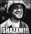 9a3527106b3f3feb0a666423051d3791--jim-nabors-gomer-pyle-usmc.jpg