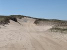 Nauset Dune Climb.jpg