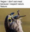 vegan-i-dont-eat-meat-because-i-respect-nature-nature-62131674.png