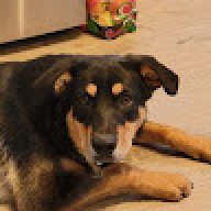 robbark