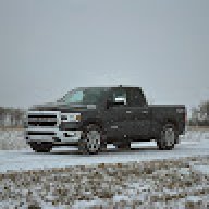 SaskBighorn
