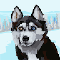 soggydoggy