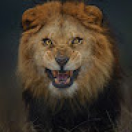 Gameon1004