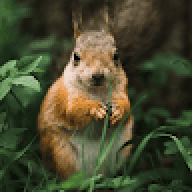 Sqrl