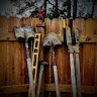 backyard_jackleg