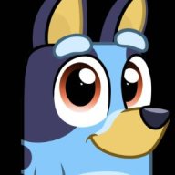 BlueySD