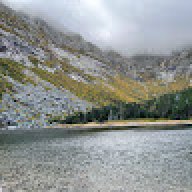 TreeStreetRebelMedic