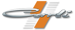 carlisuspension.com